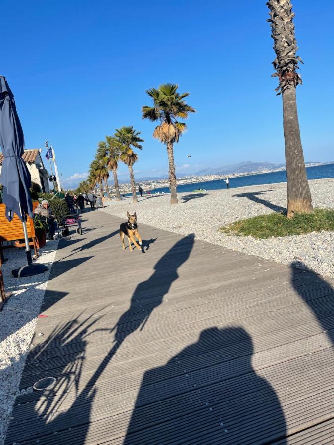 Villeneuve Loubet Plage- Entre Nice Et Cannes Exterior foto