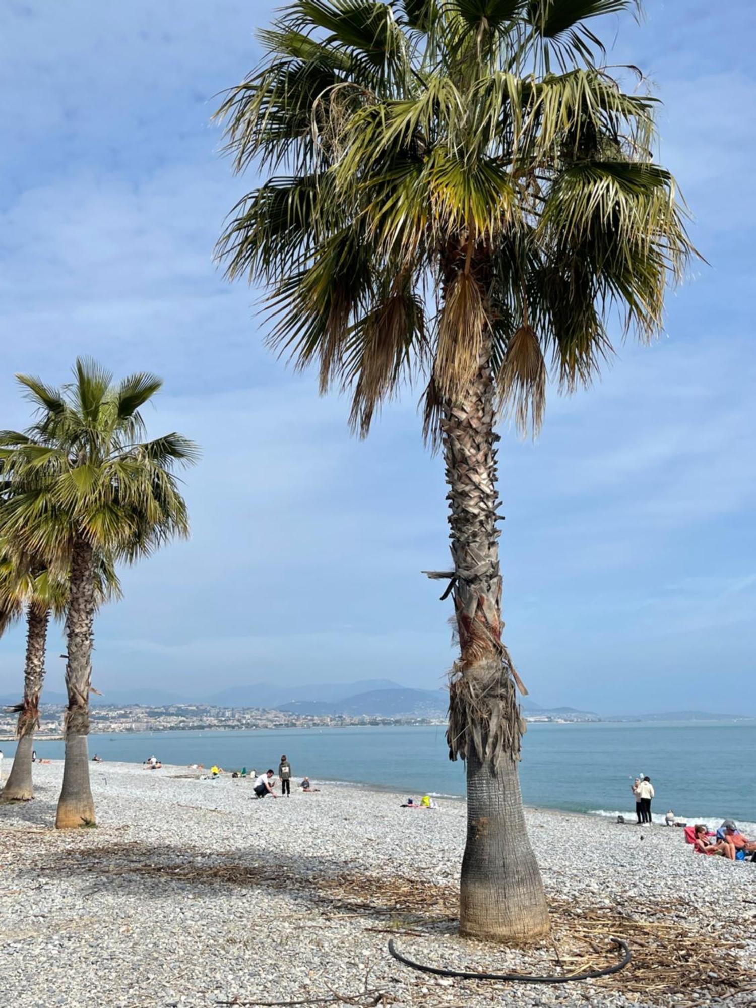 Villeneuve Loubet Plage- Entre Nice Et Cannes Exterior foto
