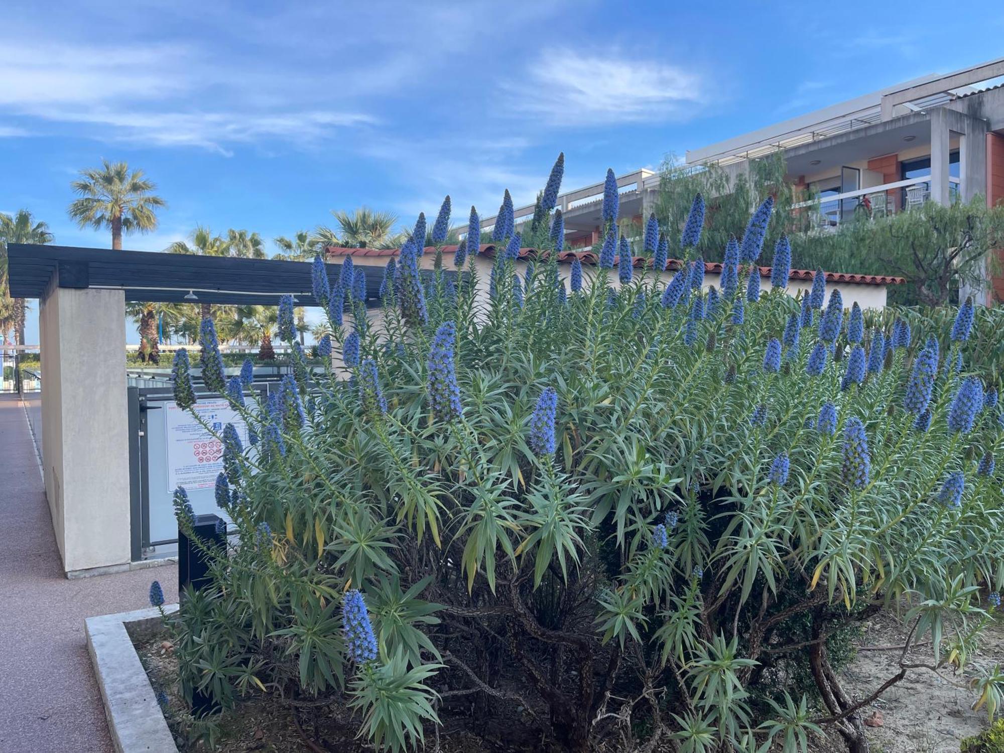 Villeneuve Loubet Plage- Entre Nice Et Cannes Exterior foto
