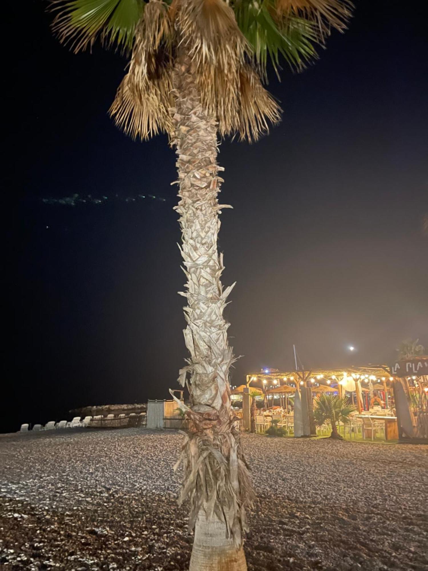 Villeneuve Loubet Plage- Entre Nice Et Cannes Exterior foto