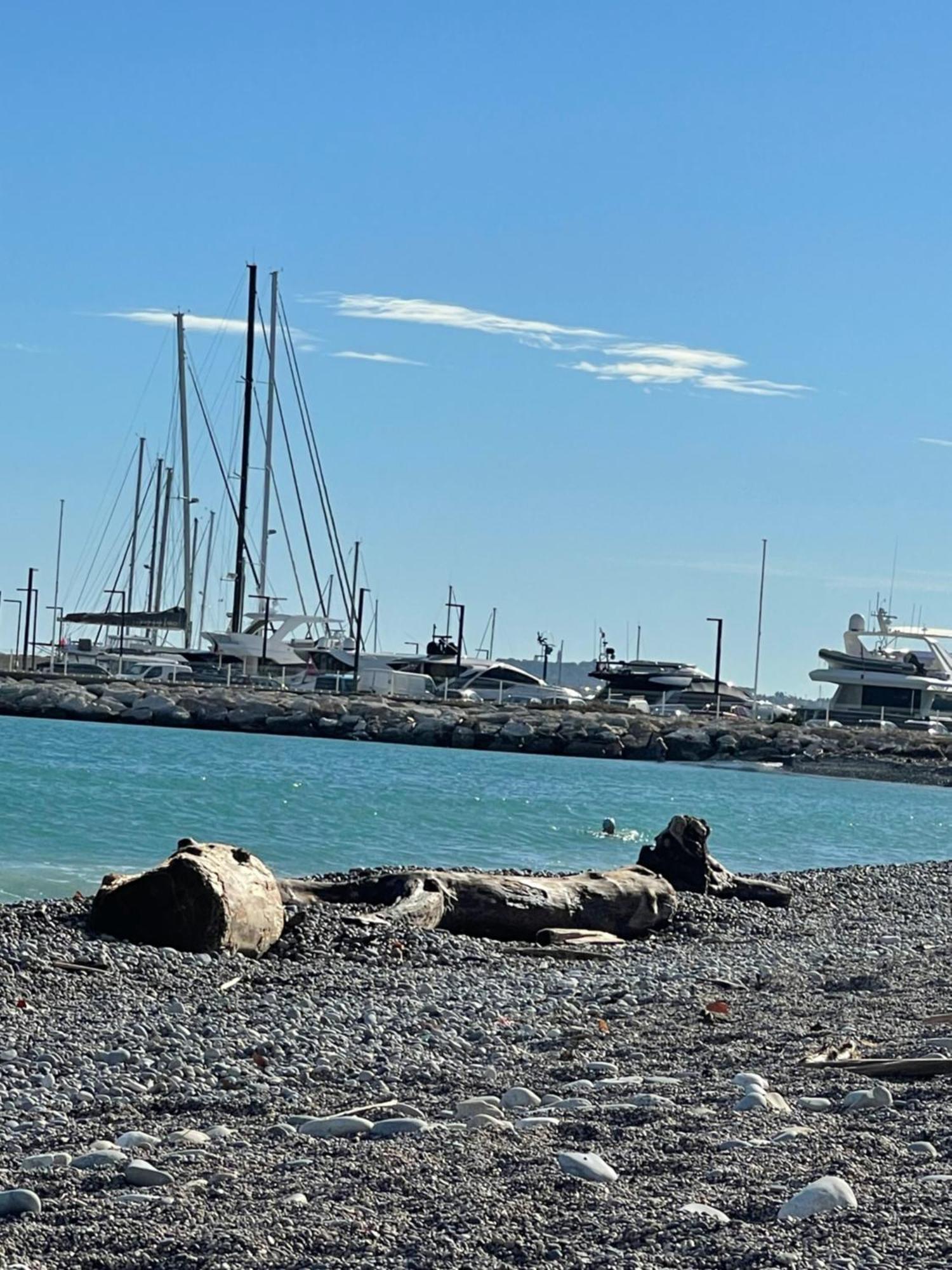 Villeneuve Loubet Plage- Entre Nice Et Cannes Exterior foto