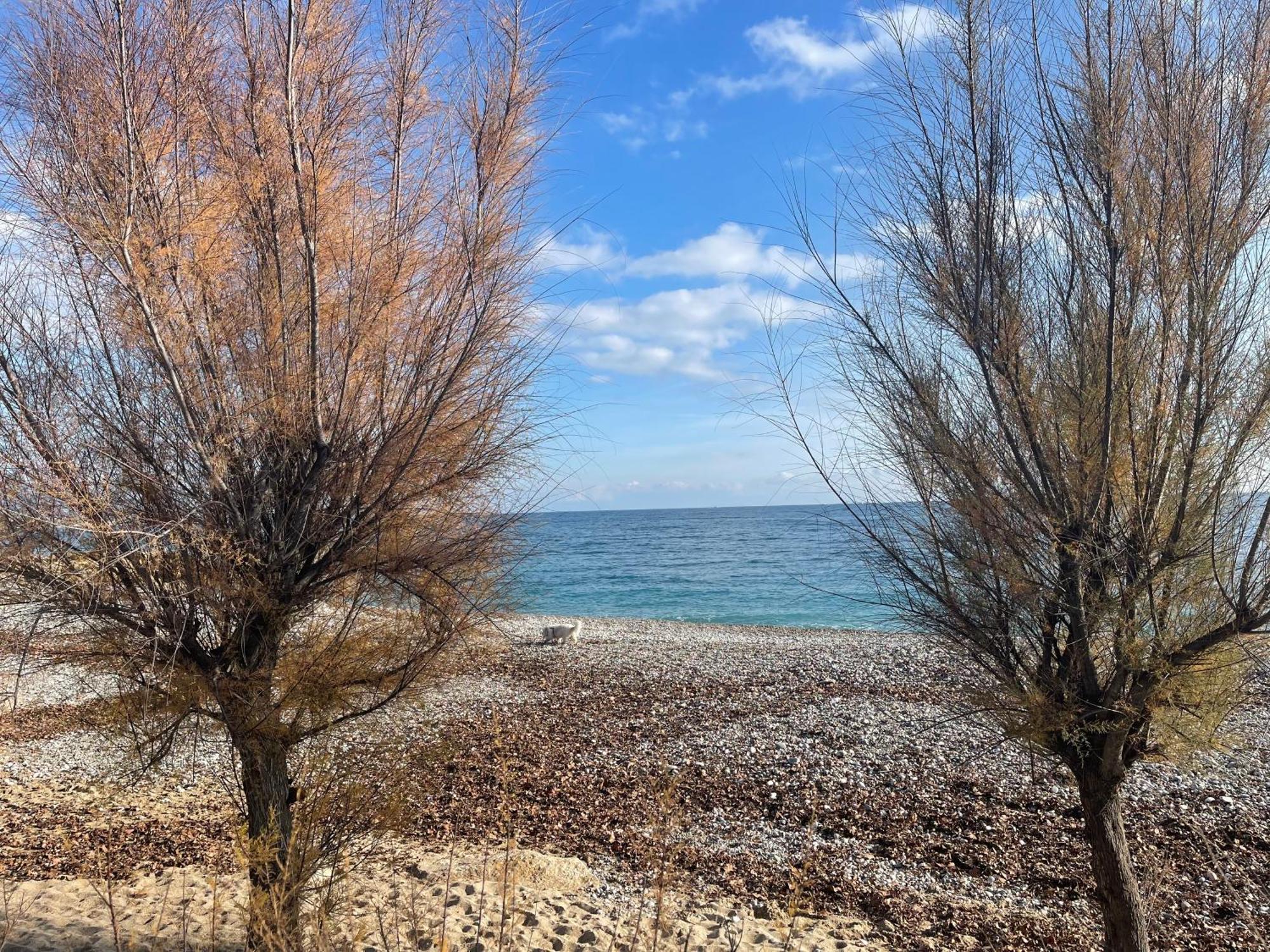 Villeneuve Loubet Plage- Entre Nice Et Cannes Exterior foto