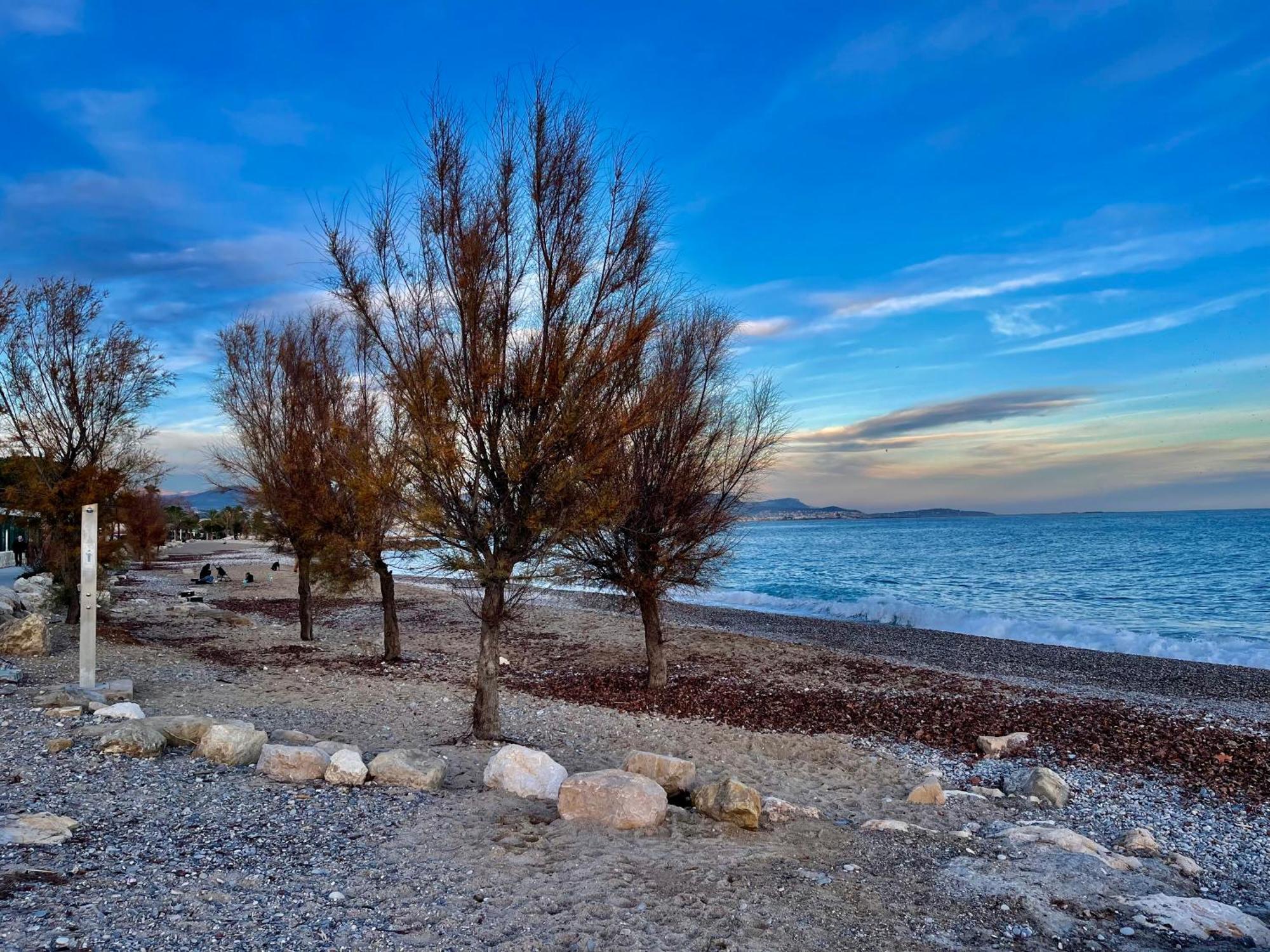 Villeneuve Loubet Plage- Entre Nice Et Cannes Exterior foto